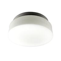 BRIGHT STAR CH001L 230MM CEILING LIGHT