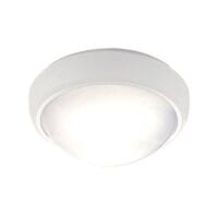 BRIGHT STAR BH131 20W COOL WHITE WHITE BULKHEAD